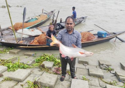 জাল তোলার পর বড় বড় পাঙাশ দেখে মন ভরে যায় জেলেদের