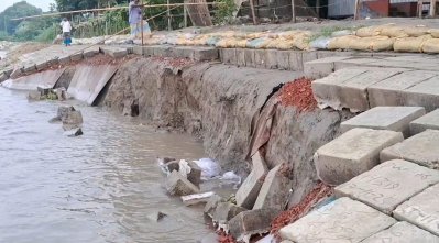 পদ্মার ভয়াল ভাঙন থেকে স্থায়ী সুরক্ষার আশায় ৫২৭ কোটি ৫০ লাখ টাকা ব্যয়ে নির্মাণ করা হয়েছিল নদী তীর সংরক্ষণ বাঁধ