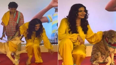 &lsquo;সেলিব্রিটি&rsquo; সারমেয় ও রাভিনা