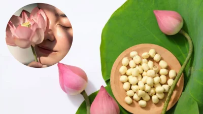 পদ্মের বীজ। ছবি: বাংলা ট্রিবিউন কোলাজ।
