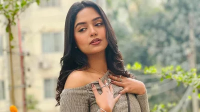 হিমি 