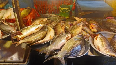 রাজধানীর একটি মাছের বাজার