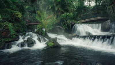 প্রাকৃতিক সৌনএর্যর অনন্য ভূমি (ছবি: সংগৃহীত)