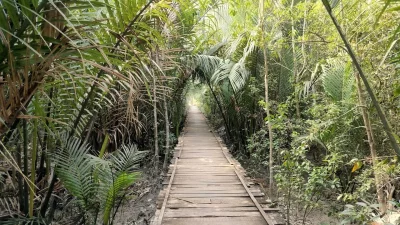 সুন্দরবন যেন প্রকৃতির নিজের হাতে আঁকা এক বিশাল ক্যানভাস (ছবি: সংগৃহীত)