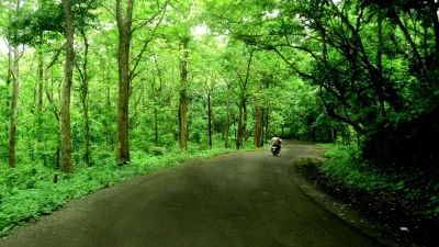 কুর্গ, কর্নাটক (ছবি: সংগৃহীত)