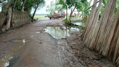 খানাখন্দে বেহাল সড়ক