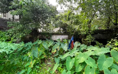 ভাঙা টিনের বেড়া পেরিয়ে ভেতরে ঢুকলেই চোখে পড়ে ঘাস-আগাছায় ভরা মেঝে