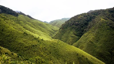 নাগাল্যান্ড (ছবি: পিক্সেল)