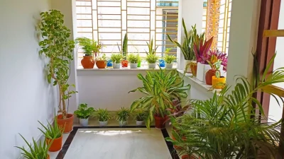 ঘরের ভেতর প্রকৃতির ছোঁয়া (ছবি: সংগৃহীত)