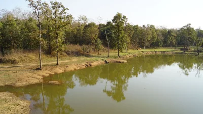 ভারতের মধ্যপ্রদেশের তুলনামূলক কম পরিচিত একটি স্থান পান্না ন্যাশনাল পার্ক (ছবি: সংগৃহীত)