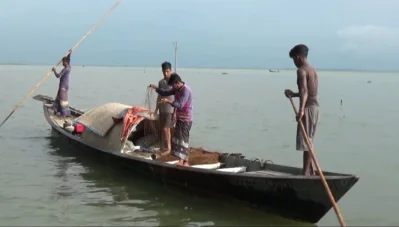 জেলেরা জানান, আগে একটি নৌকা নিয়ে হাওরে গেলে জাল ফেলতেই প্রচুর মাছ উঠতো