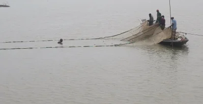 এখন দিন-রাত জাল ফেলেও আগের মতো মাছ পাওয়া যায় না