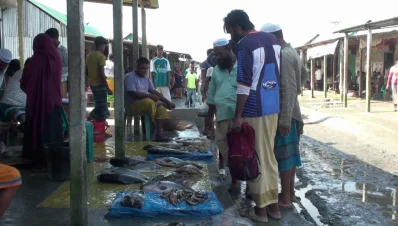 বালিখলা বাজারে এখন আর আগের মতো মাছও আসে না