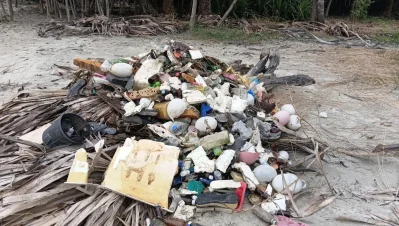 উপকূলীয় বসতি ও বাজারের পাশাপাশি সমুদ্রগামী জেলে নৌকায় ব্যবহৃত প্লাস্টিকও ভেসে এসে ঢুকছে বনের নদী-খালে