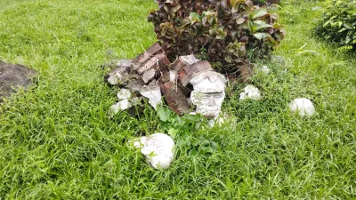 ক্ষতবিক্ষত ভাস্কর্য