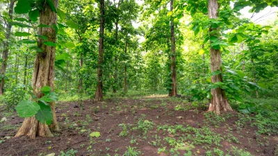 প্রকৃতির মাঝে নিরিবিলি সময় কাটাতে চাইলে সাতছড়ি হতে পারে আদর্শ স্থান (ছবি: সংগৃহীত)