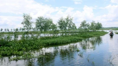 বর্ষায় বাংলার গ্রামীণ সৌন্দর্য (ছবি: সংগৃহীত)
