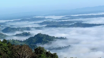 নীলগিরি (ছবি: সংগৃহীত)