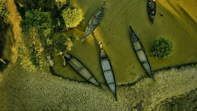 ঋতু পরিবর্তনের সঙ্গে বদলে যায় বনের দৃশ্যপট (চবি: সংগৃহীত) 