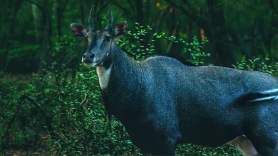 সাতছড়ির সৌন্দর্য অনেকটা তার নির্জনতায় (ছবি: পিক্সেল)