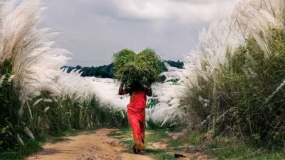 শরৎকালে গ্রামের পথ ধরে হাঁটার অভিজ্ঞতাও আনন্দের (ছবি: সংগৃহীত)