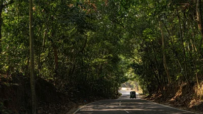 এখানে ৪৬০টিরও বেশি প্রজাতির উদ্ভিদ, পাখি, স্তন্যপায়ী ও সরীসৃপ প্রাণী রয়েছে (ছবি: পিক্সেল)