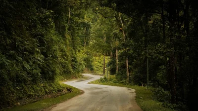 লাউয়াছড়া জাতীয় উদ্যান (ছবি: পিক্সেল)