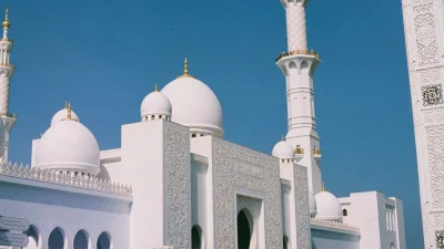 শেখ জায়েদ গ্র্যান্ড মসজিদ (ছবি: পিক্সেল)