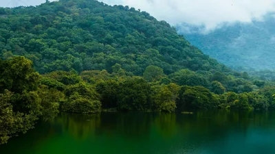 বর্ষায় পাহাড়ি ঝরনায় পানির প্রবাহ বাড়লে চারপাশের প্রকৃতি আরও সতেজ হয়ে ওঠে (ছবি: পিক্সেল)