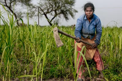 কৃষি কাজ করছেন এক আদিবাসী নারী। ছবি: উই ক্যান