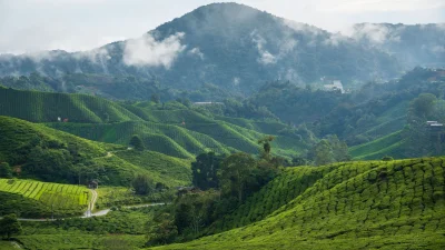ক্যামেরন হাইল্যান্ডস (ছবি: পিক্সেল)