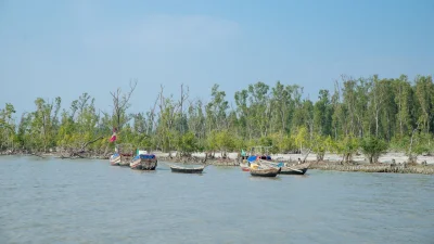 ম্যানগ্রোভ বনের সবুজ আর নদীর জল মিলে তৈরি করে মনোমুগ্ধকর পরিবেশ (ছবি: সংগৃহীত)