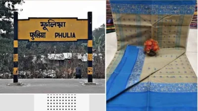তাঁতের শাড়ি ও জামদানির খোঁজে ফুলিয়ায় একদিন (ছবি: সংগৃহীত)
