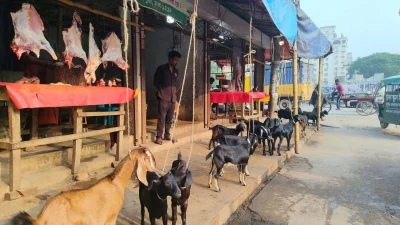 নিত্যপণ্যের প্রতিদিনের বাজার (ছবি বাংলা ট্রিবিউন)