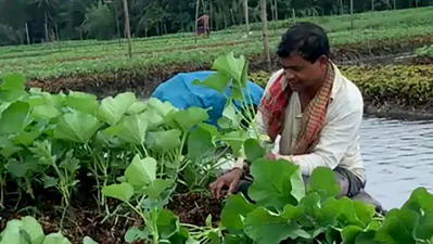 কাজে ব্যস্ত এক কৃষক