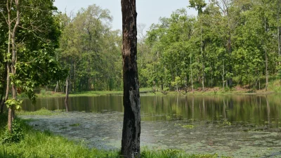 উদ্যানের ভেতরে রয়েছে পিকনিক স্পট, ওয়াচ টাওয়ার ও কৃত্রিম লেক (ছবি: সংগৃহীত)