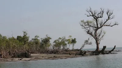 দুবলার চর (ছবি: সংগৃহীত)