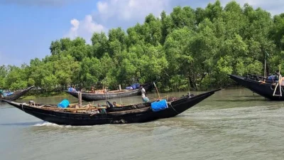দুবলার চরে মাছ ধরা নৌকা (ছবি: সংগৃহীত)