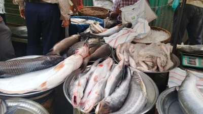 মাছের বাজার