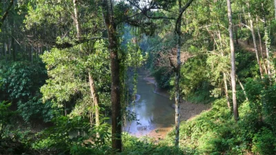 কালা পাহাড় (ছবি: সংগৃহীত)