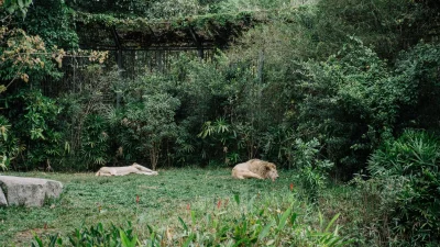 এই সংরক্ষিত এলাকায় বন্যপ্রাণী দেখার পাশাপাশি উপভোগ করা যায় প্রকৃতির রূপ (ছবি: পেক্সেলস)