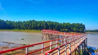 উদ্যানের মাঝে বিলের ওপর নির্মিত আঁকাবাঁকা কাঠের সেতু (ছবি: সংগৃহীত)