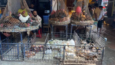 সংসারের হিসাব মেলাতে নিত্যদিনের খরচে কাটছাঁট