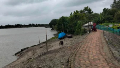 বাঁধের পাশে বসবাস &nbsp;