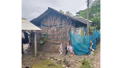 উপকূলীয় এলাকার একটি ঘর &nbsp;