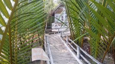 এসব রিসোর্ট পরিবেশগত সংকটাপন্ন এলাকা (ইসিএ) জোনের মধ্যে হওয়ায় পরিবেশগত ছাড়পত্র দেওয়া হয়নি