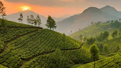 শৈলশহর মুন্নার (ছবি: সংগৃহীত)