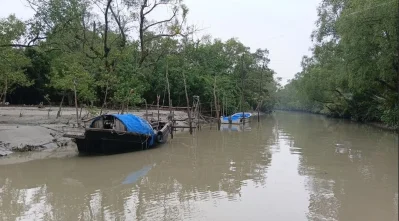 খোলপেটুয়া নদীর শিলা কাঁকড়ার ফুলকায় গড়ে ১৮টি ও অন্ত্রে ৩০টি প্লাস্টিক কণা পেয়েছেন গবেষকেরা