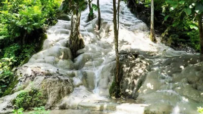 অদ্ভুত বৈশিষ্ট্যের কারণে জলপ্রপাতটিকে &lsquo;স্টিকি ওয়াটারফল&rsquo; নামে ডাকা হয় (ছবি: এনডিটিভি)