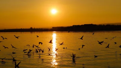 সুখনা লেকে শীতকালে বসে পরিযায়ী পাখির মেলা (চবি: সংগৃহীত)